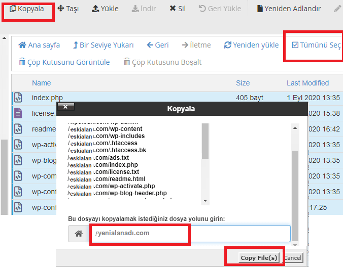 cPanel ile WordPress Domain Değiştirme-2