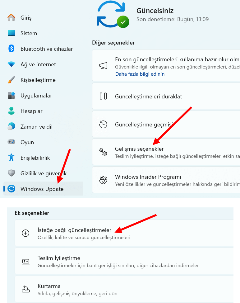 Windows 11 Sürücü Güncelleme-2