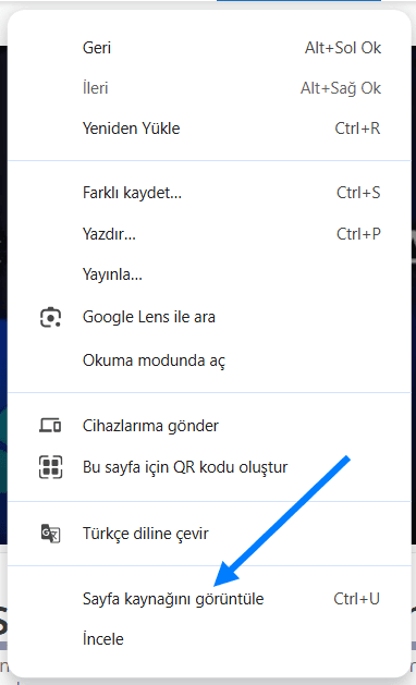 Google Chrome Sayfa Kaynağı Görüntüleme