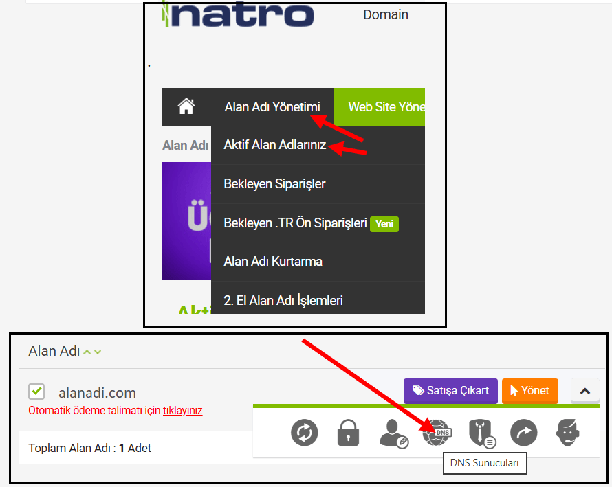 Natro NS Değiştirme