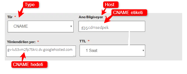Google Sites Cname Kaydı-2