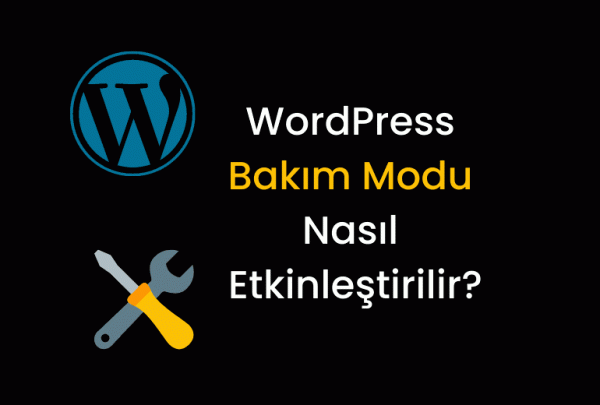 Embedding Modelleri