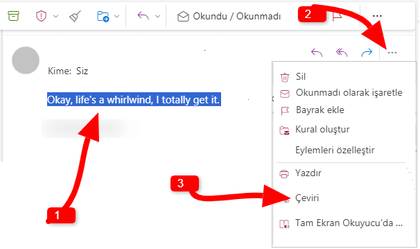 Outlook Manuel Çevir