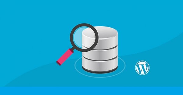 Embedding Modelleri