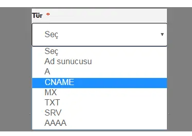 Google Sites Cname Kaydı-1