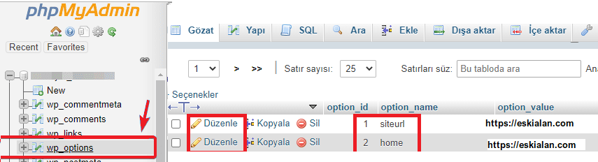 Alan Adı Değiştirme: Veritabanı Güncelleme-2