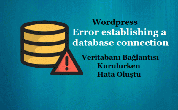 Embedding Modelleri
