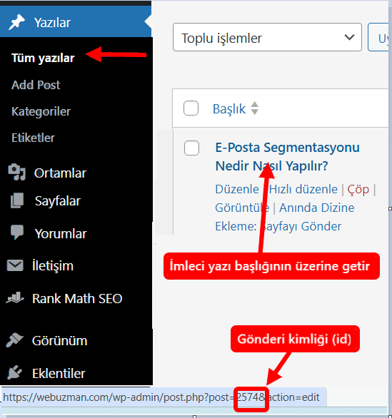 WordPress Gönderi Kimliği